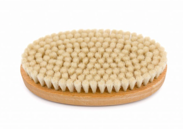 CEPILLO KREMER - Oval Grande 11 filas - Pelo de Cabra
