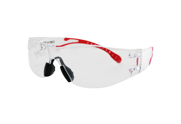 GAFAS PROTECTORAS DE PANTALLA FIJA - Dexter