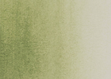 TIERRA VERDE de Verona