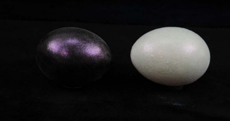 MIRAVAL® 5423 MAGIC LILAC, Violeta